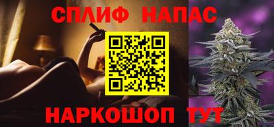 сатива Долгопрудный