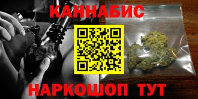сатива Долгопрудный