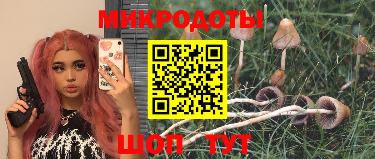 Луга  Псилоцибиновые грибы Psilocybe  Галлюциногенные грибы Psilocybine cubensis  Вход с VPN 