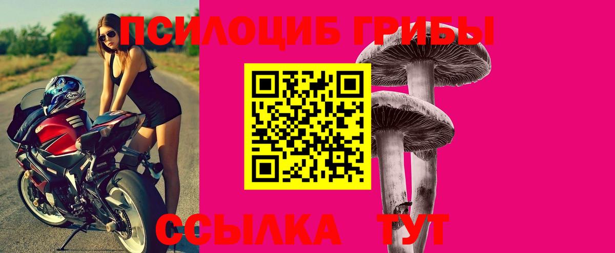 Галлюциногенные грибы MAGIC MUSHROOMS Луга